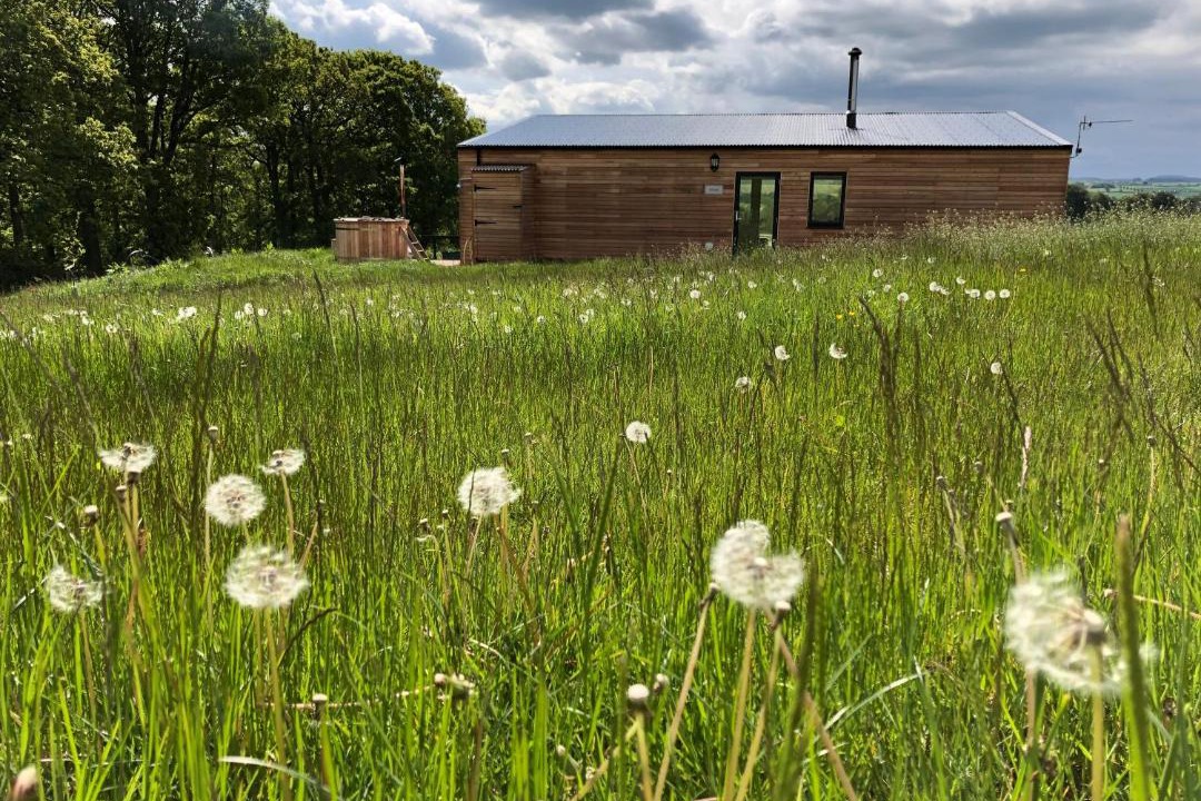 Photo of Others in Kelso