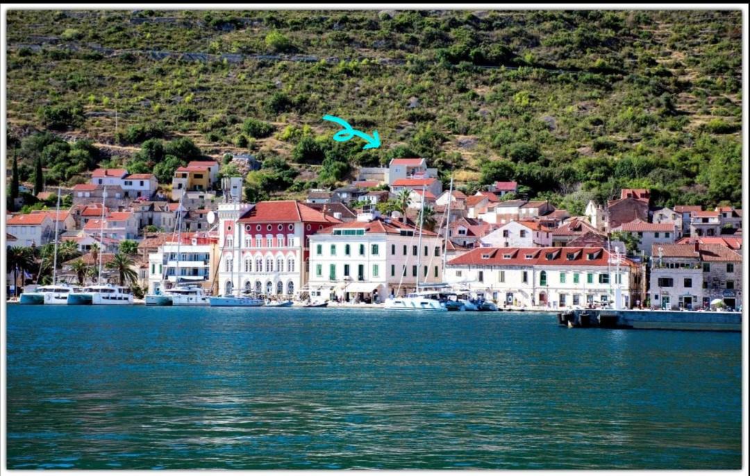 Photo of Others in Vis
