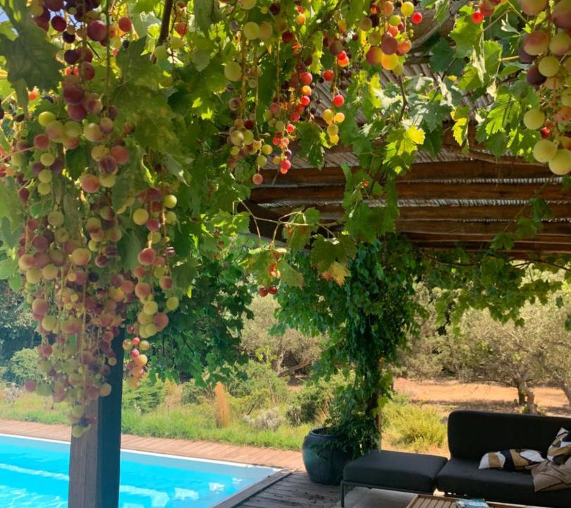 Photo of Others in Bonifacio