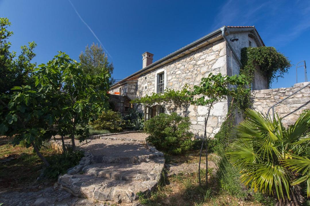 Photo of Buildings in Nenadici