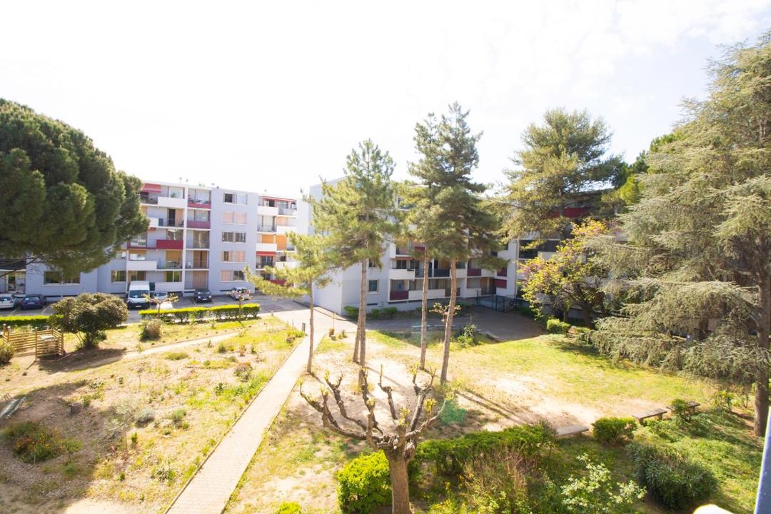 Photo of Others in Lemasson