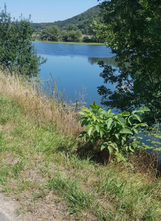 Photo of Outdoor in Beaupre