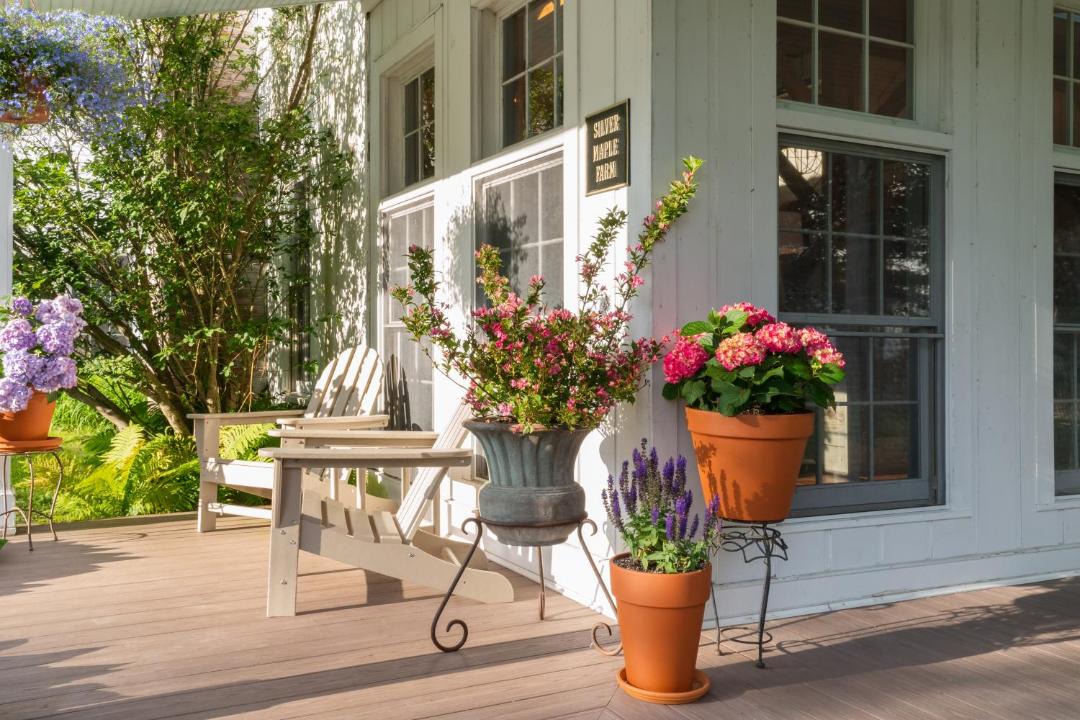 Photo of Others in East Chatham