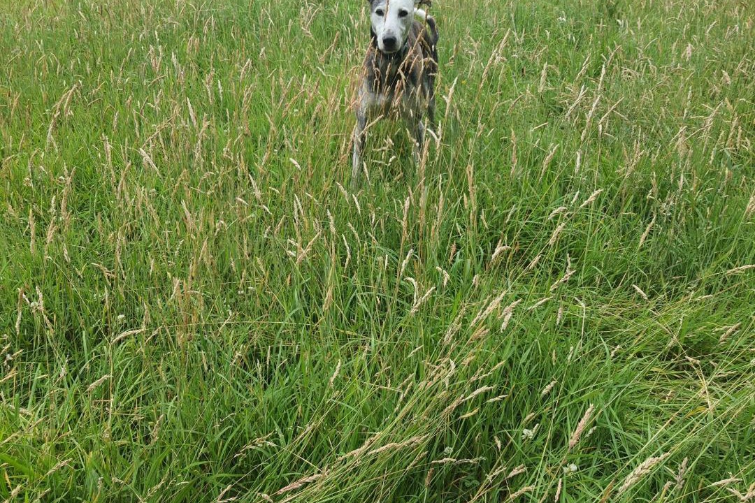 Photo of Others in Little Missenden