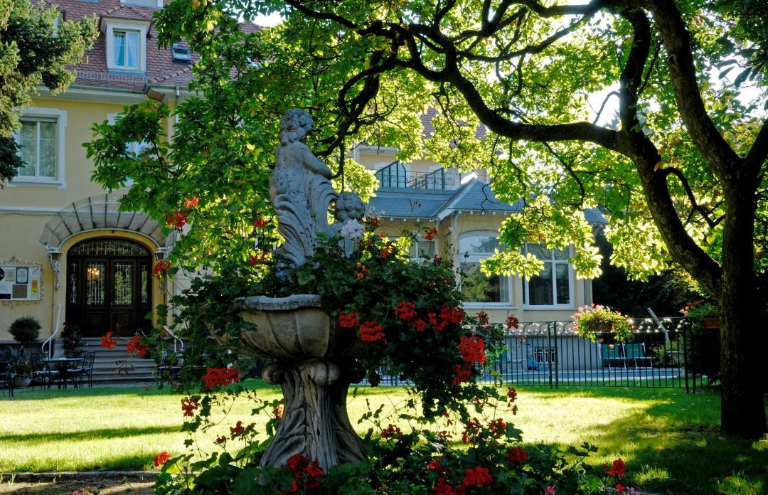 Photo of Others in Thann