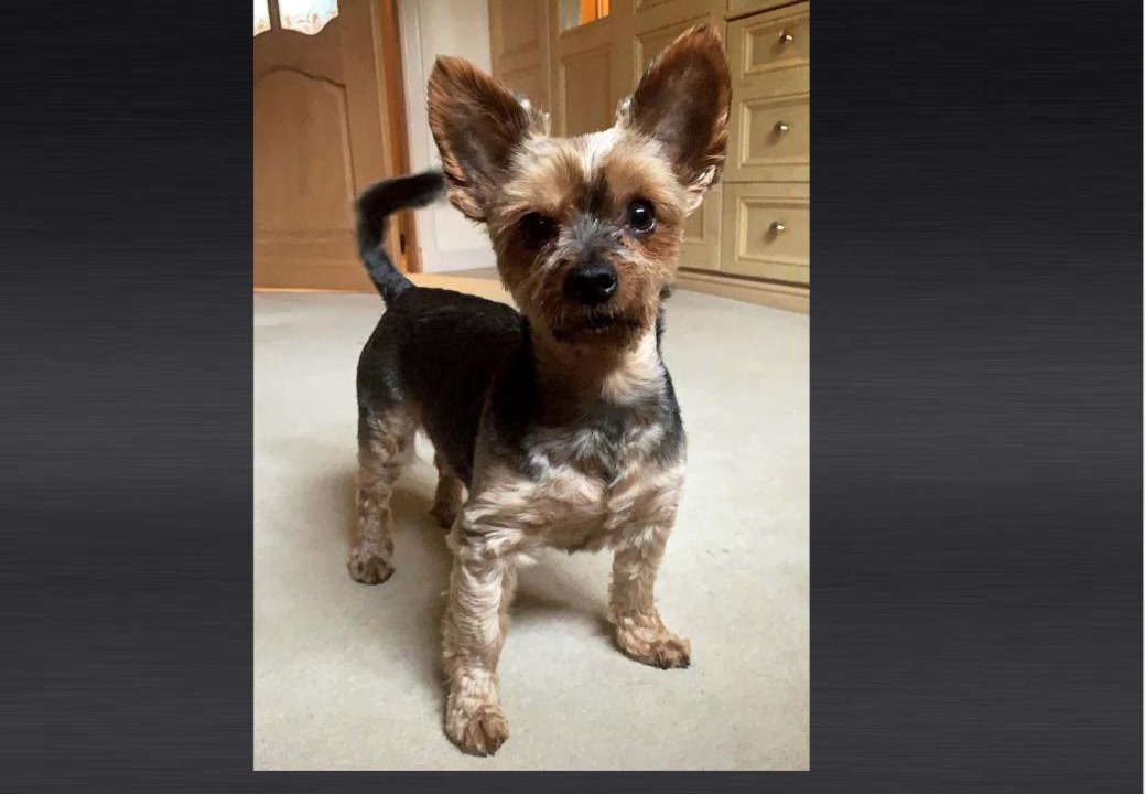 Photo of Others in Alexandria