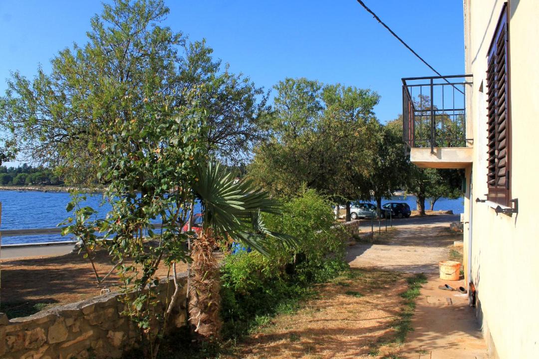 Photo of Others in Krizine