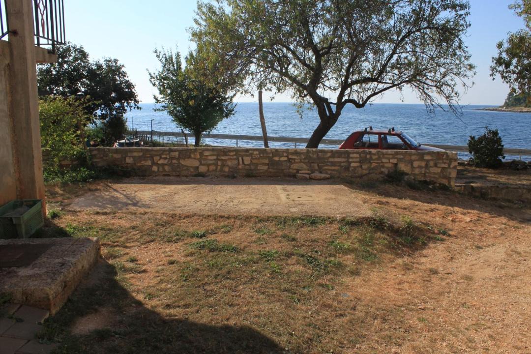 Photo of Others in Krizine