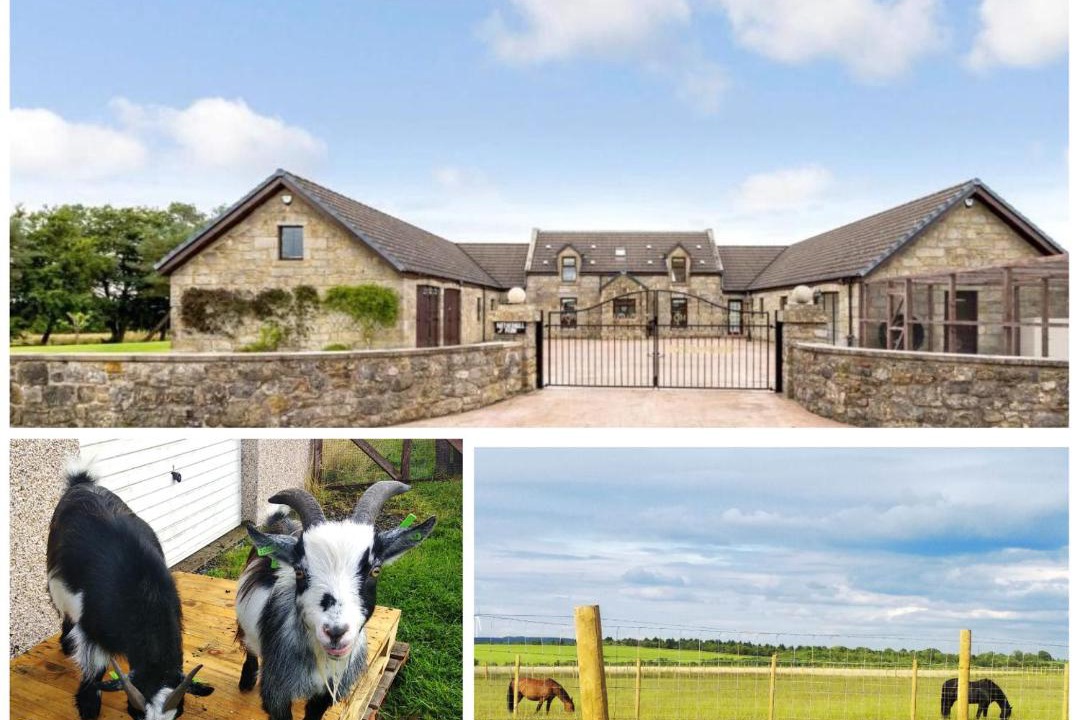 Photo of Others in Shotts