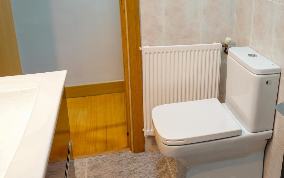 Photo of Bathroom in Sestao