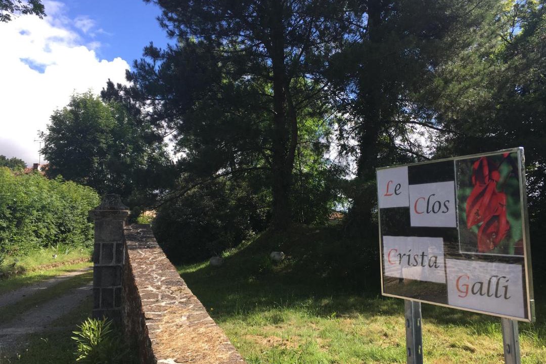 Photo of Buildings in Saint-Junien
