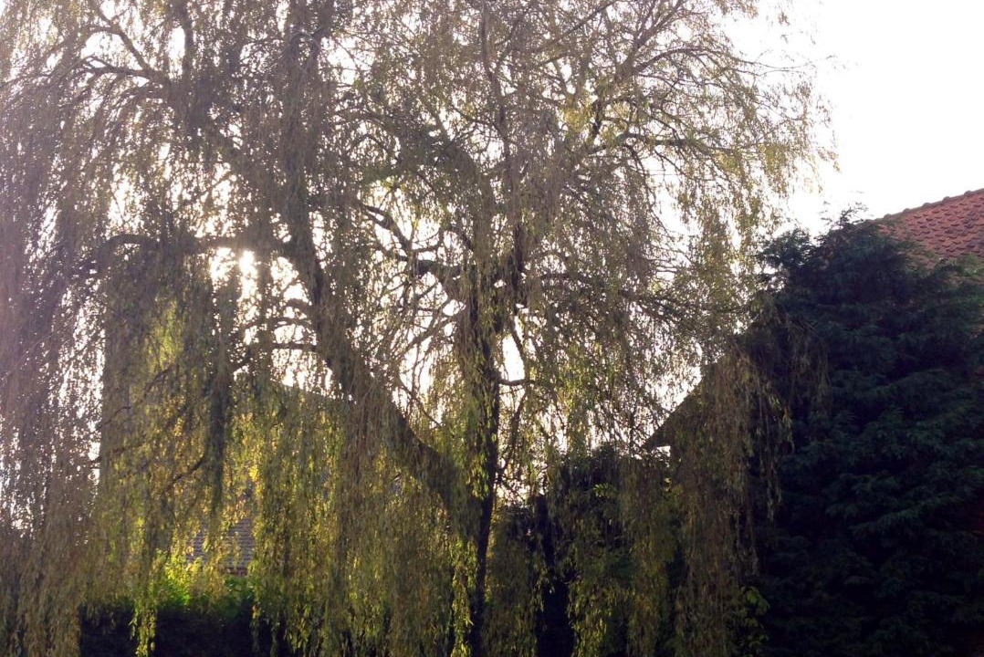 Photo of Others in Maisoncelle