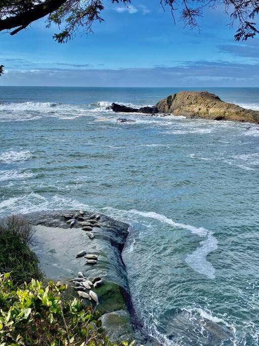 Photo of Outdoor in Depoe Bay