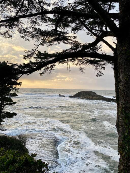 Photo of Outdoor in Depoe Bay