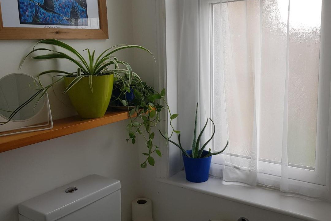 Photo of Bathroom in Margate