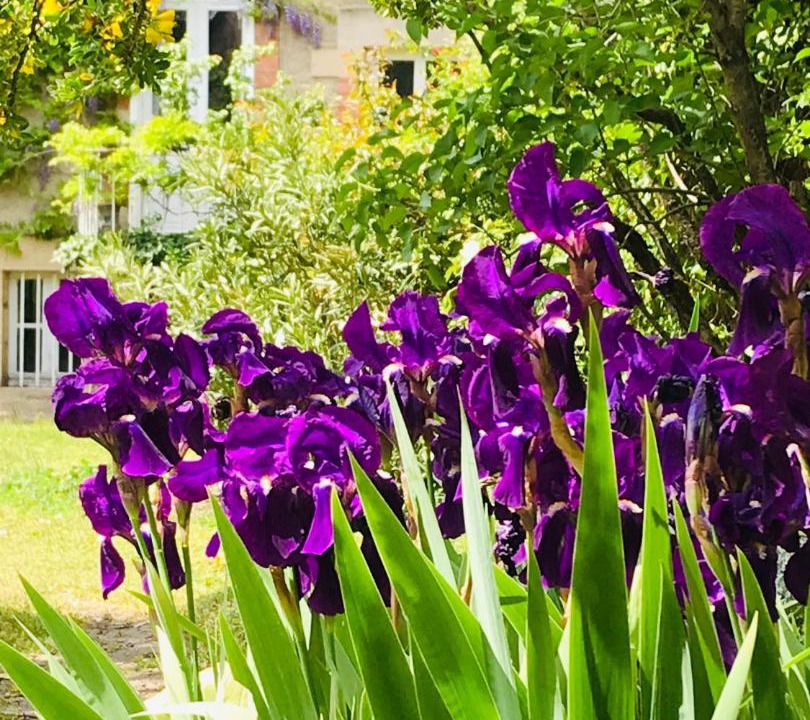 Photo of Others in Moulins