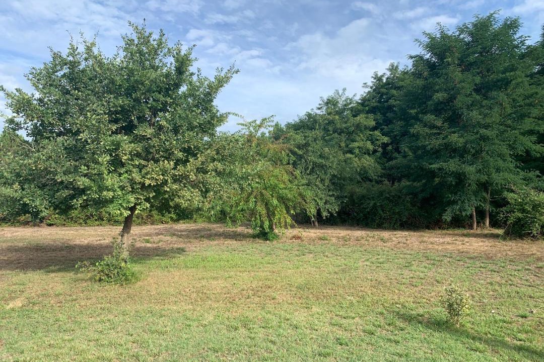 Photo of Outdoor in Cabanac-Et-Villagrains