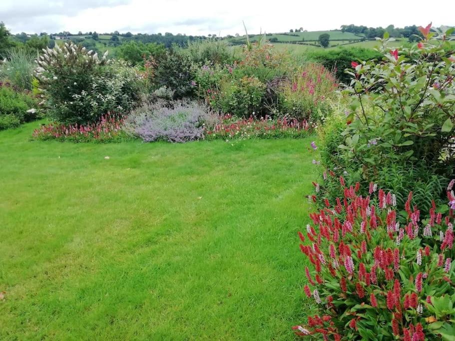 Photo of Others in Llanwyddelan