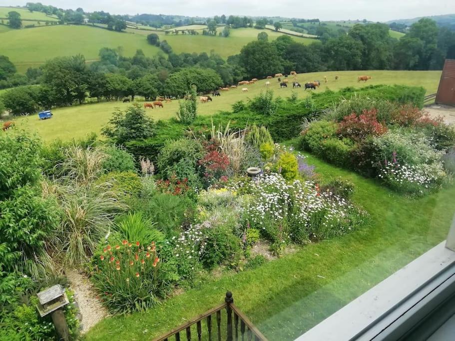 Photo of Others in Llanwyddelan