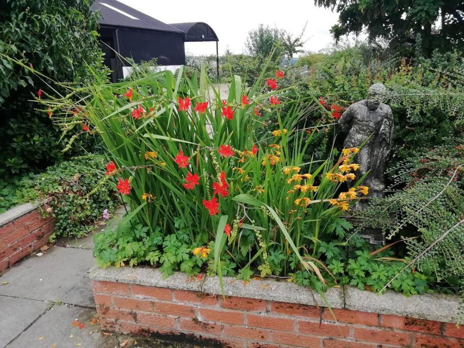 Photo of Others in Llanwyddelan