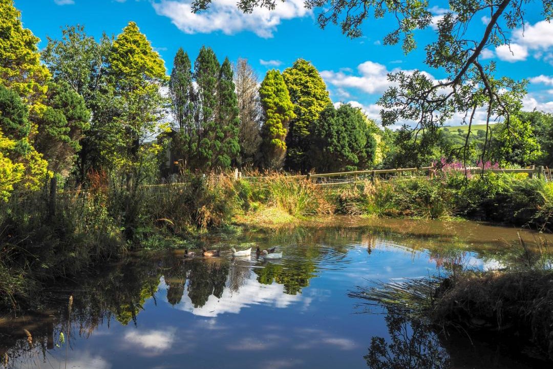 Photo of Others in Boncath