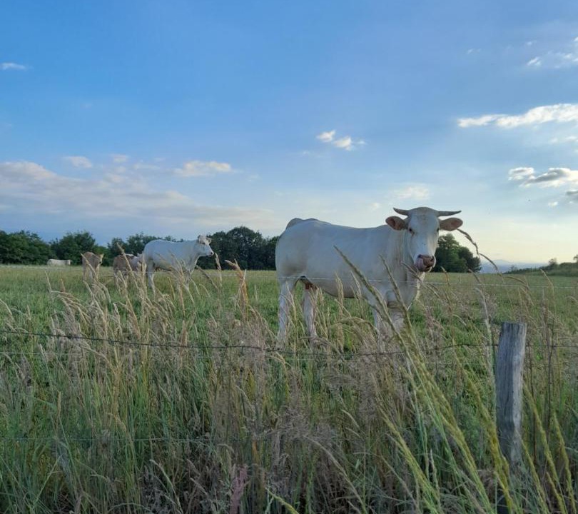 Photo of Others in Ogenne-Camptort