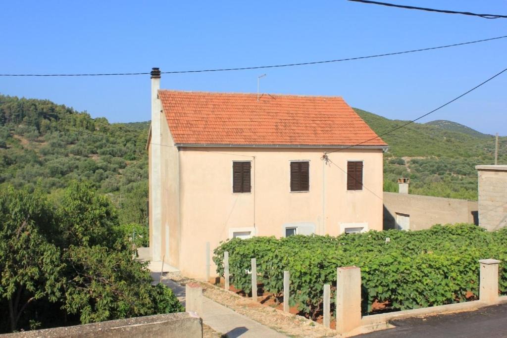 Photo of Others in Island Dugi Otok