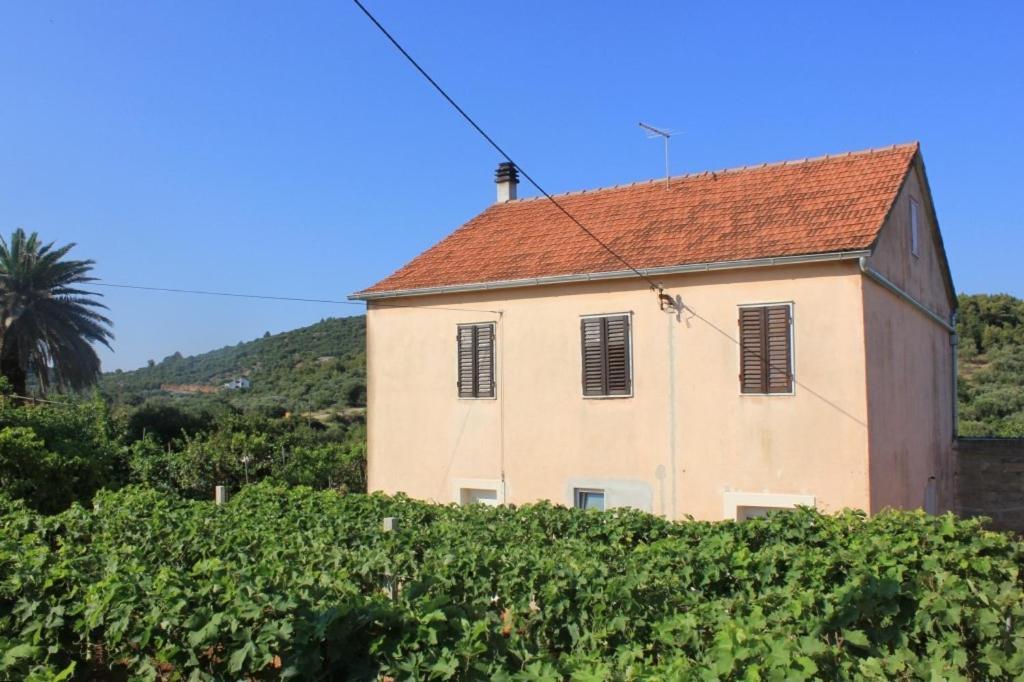 Photo of Others in Island Dugi Otok