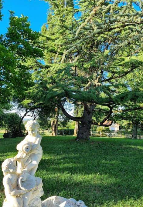 Photo of Others in Chaudenay