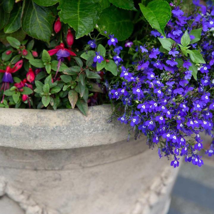 Photo of Others in Berwick-upon-Tweed