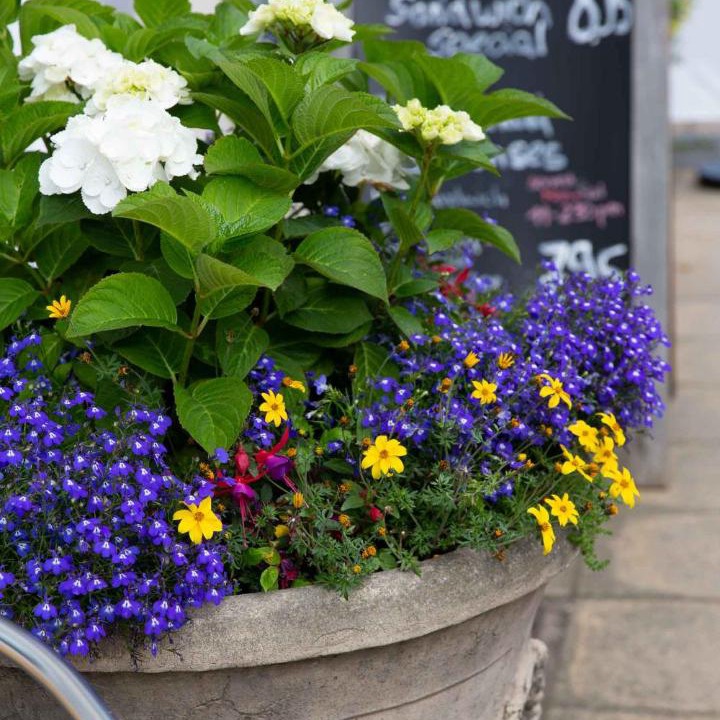 Photo of Others in Berwick-upon-Tweed