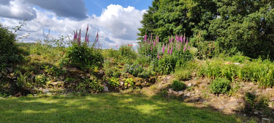 Photo of Outdoor in La Croix-Hellean