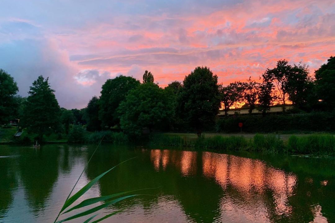 Photo of Others in Exeter