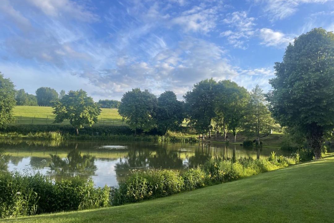 Photo of Others in Exeter