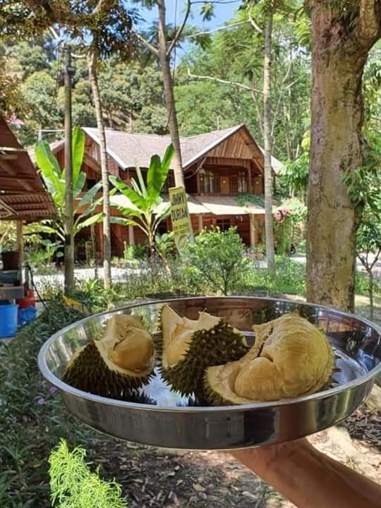 Photo of Others in Bentong District