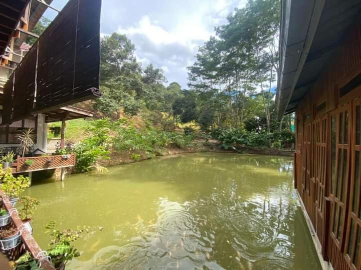 Photo of Buildings in Bentong District