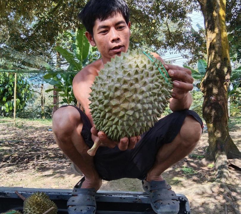 Photo of Human In Picture in Bentong District