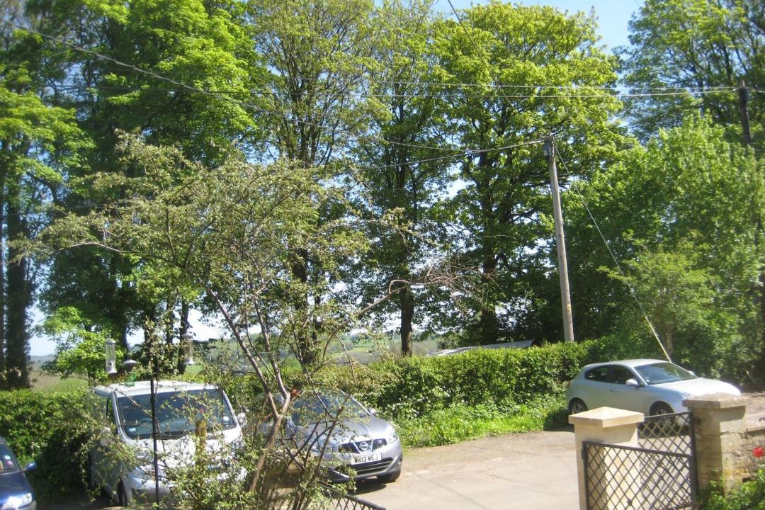 Photo of Others in Corsham