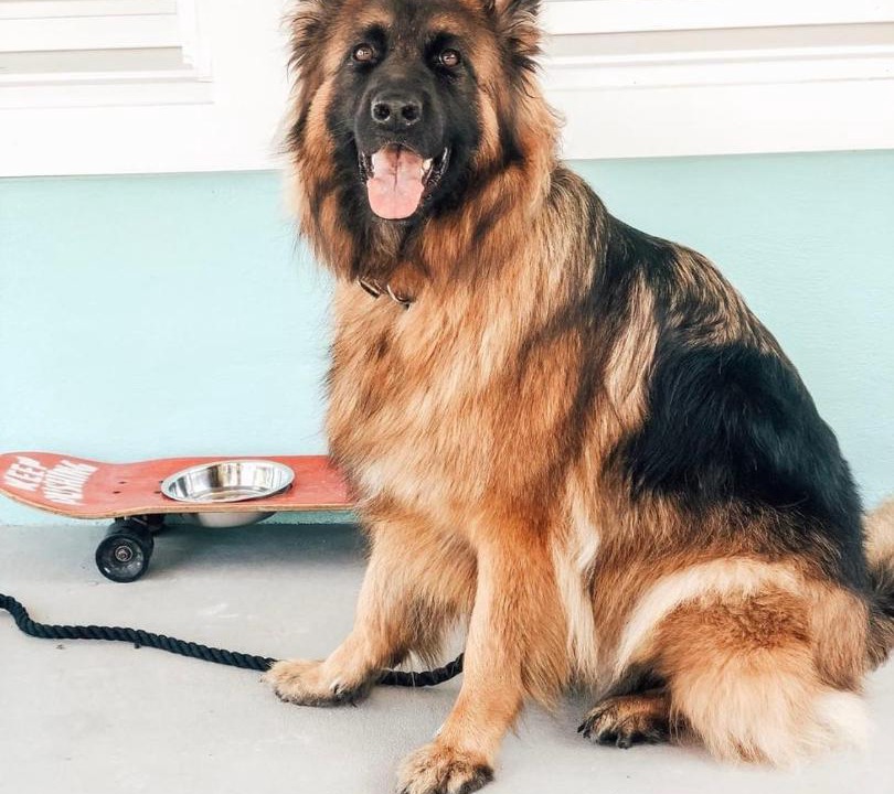 Photo of Others in Cape May