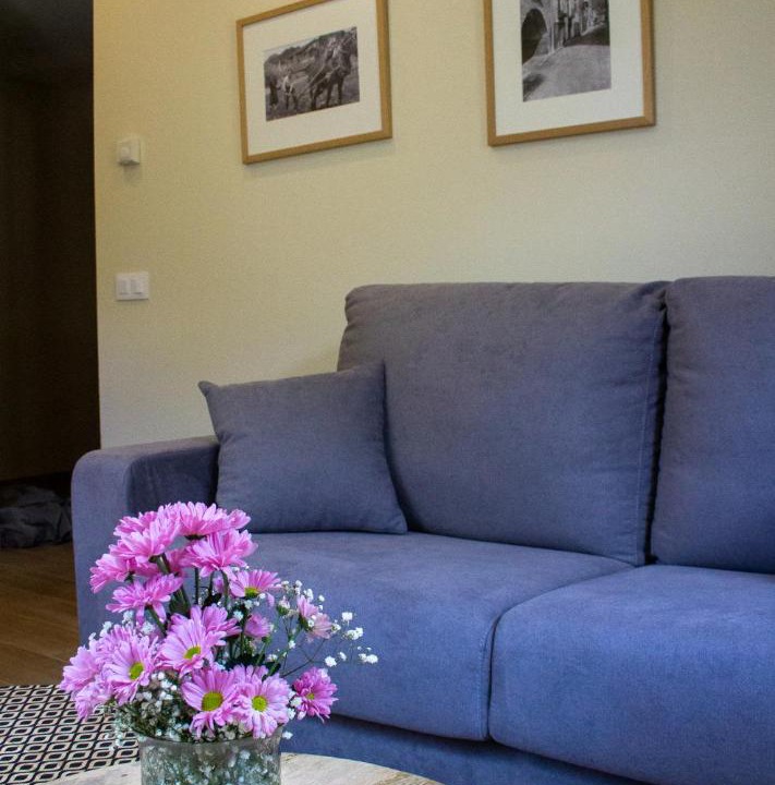 Photo of Livingroom in Esterri D'Aneu