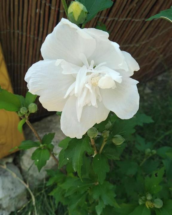 Photo of Outdoor in Sainte-Croix-de-Quintillargues