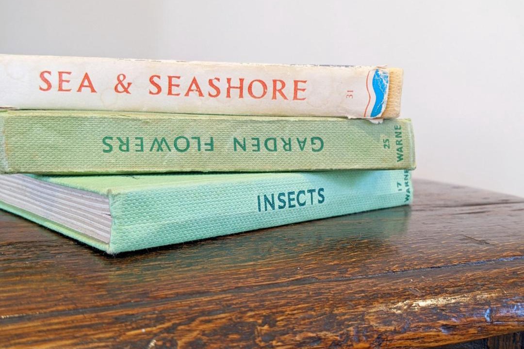 Photo of Others in Emsworth