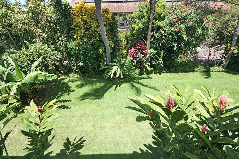 Photo of Others in Napili