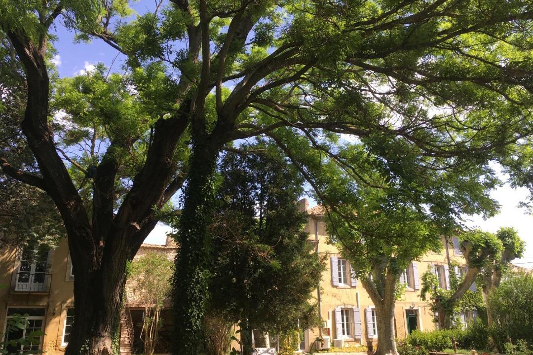 Photo of Others in Roquemaure