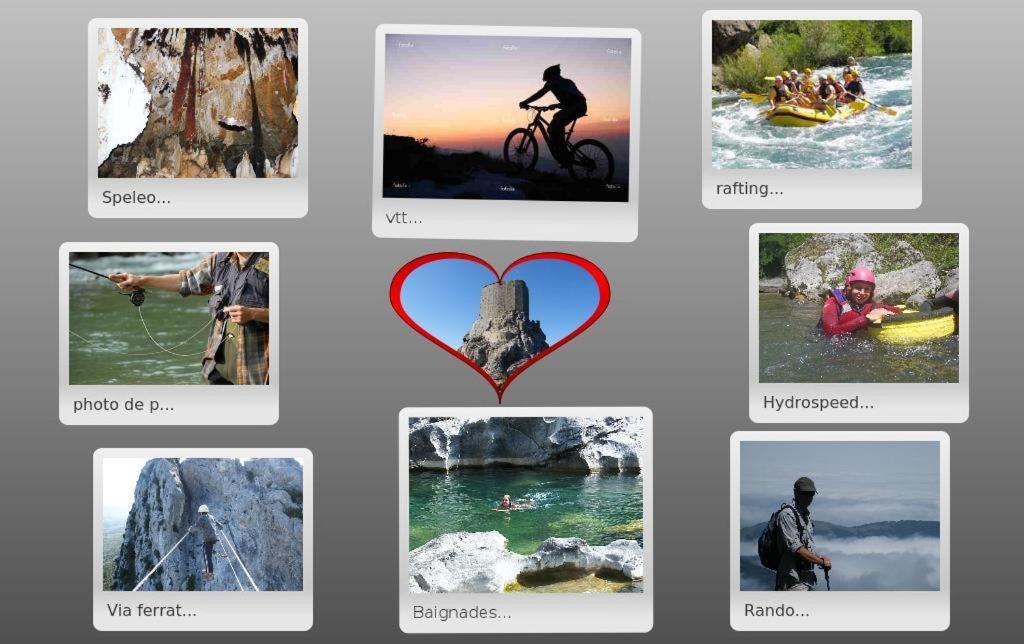 Photo of Others in Prugnanes