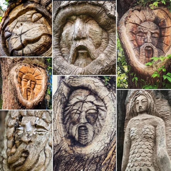 Photo of Others in Saint Simons Heights