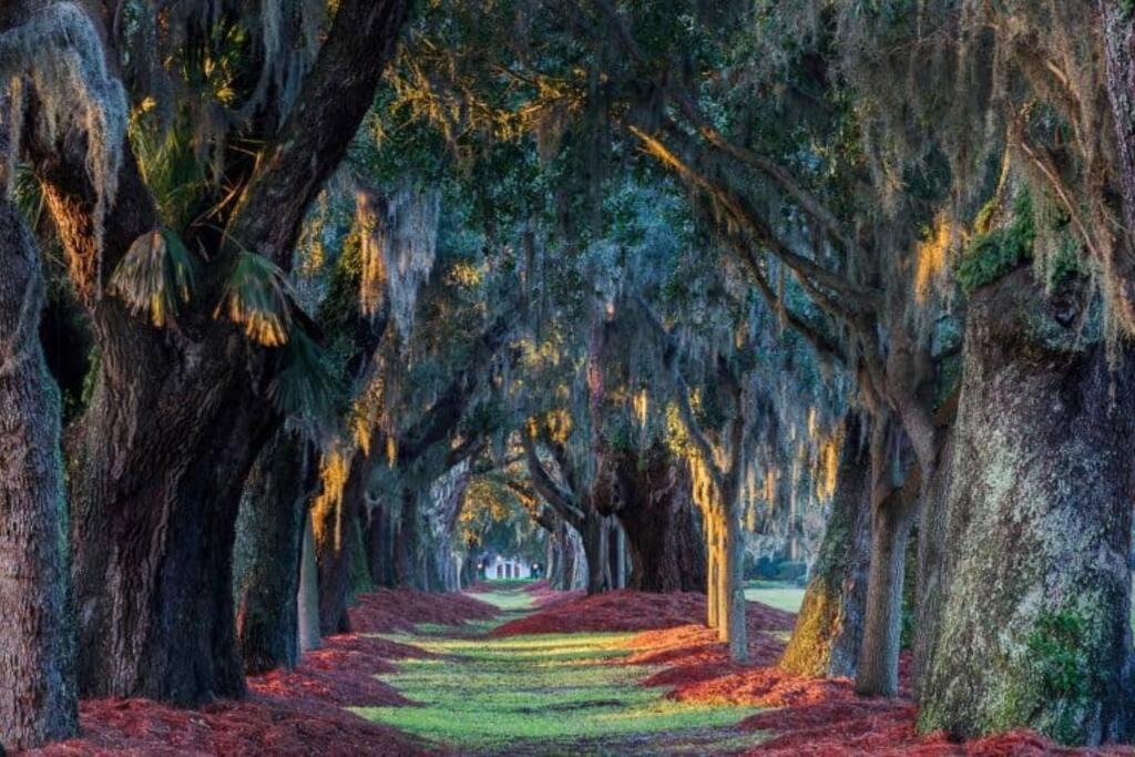 Photo of Others in Saint Simons Heights