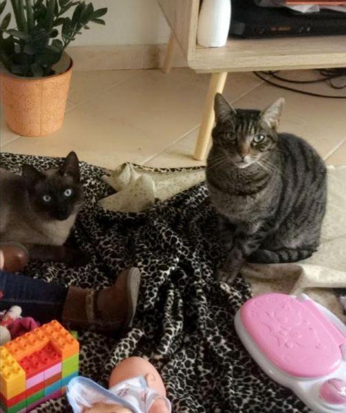 Photo of Livingroom in Brech