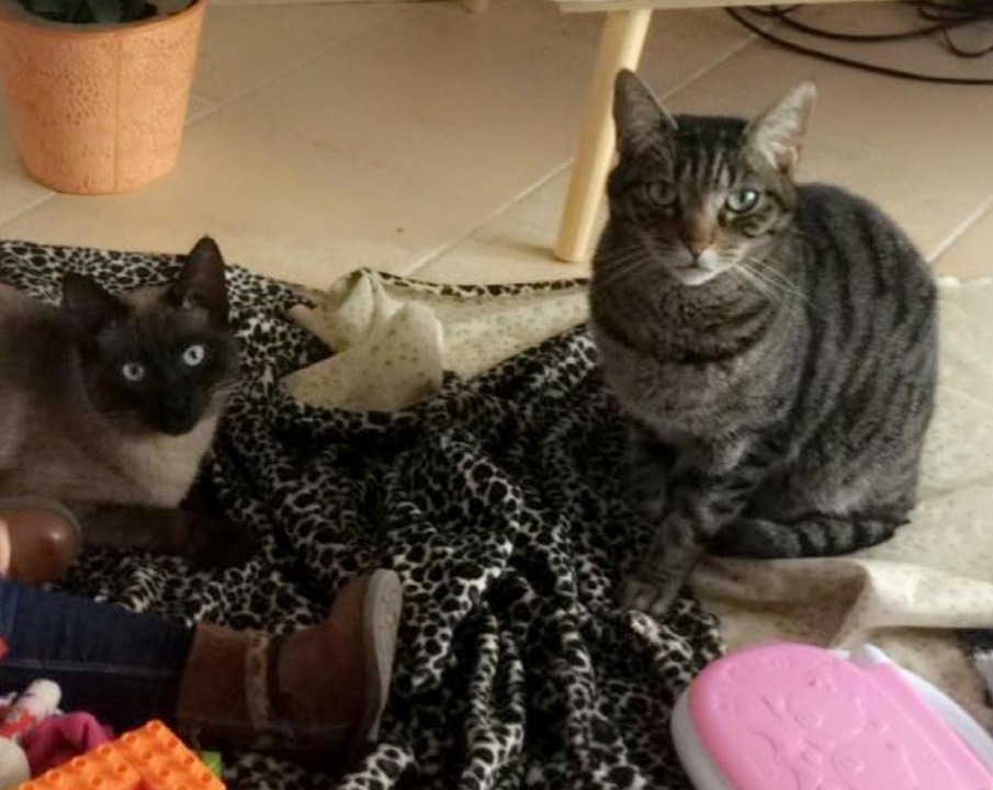 Photo of Livingroom in Brech