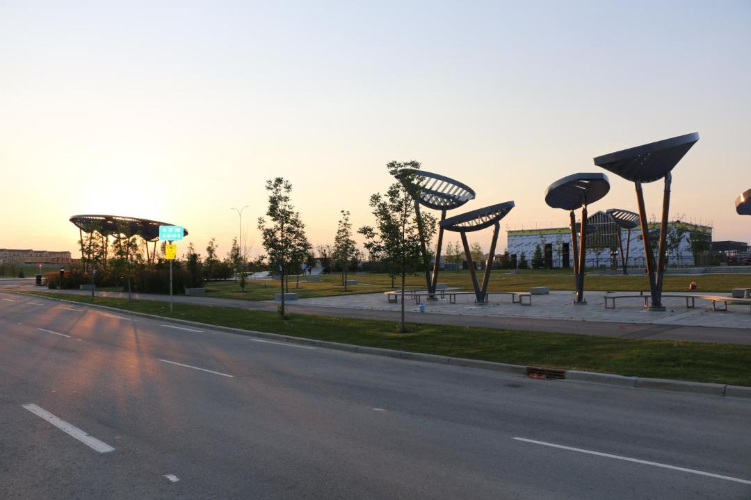 Photo of Others in Northwest Calgary